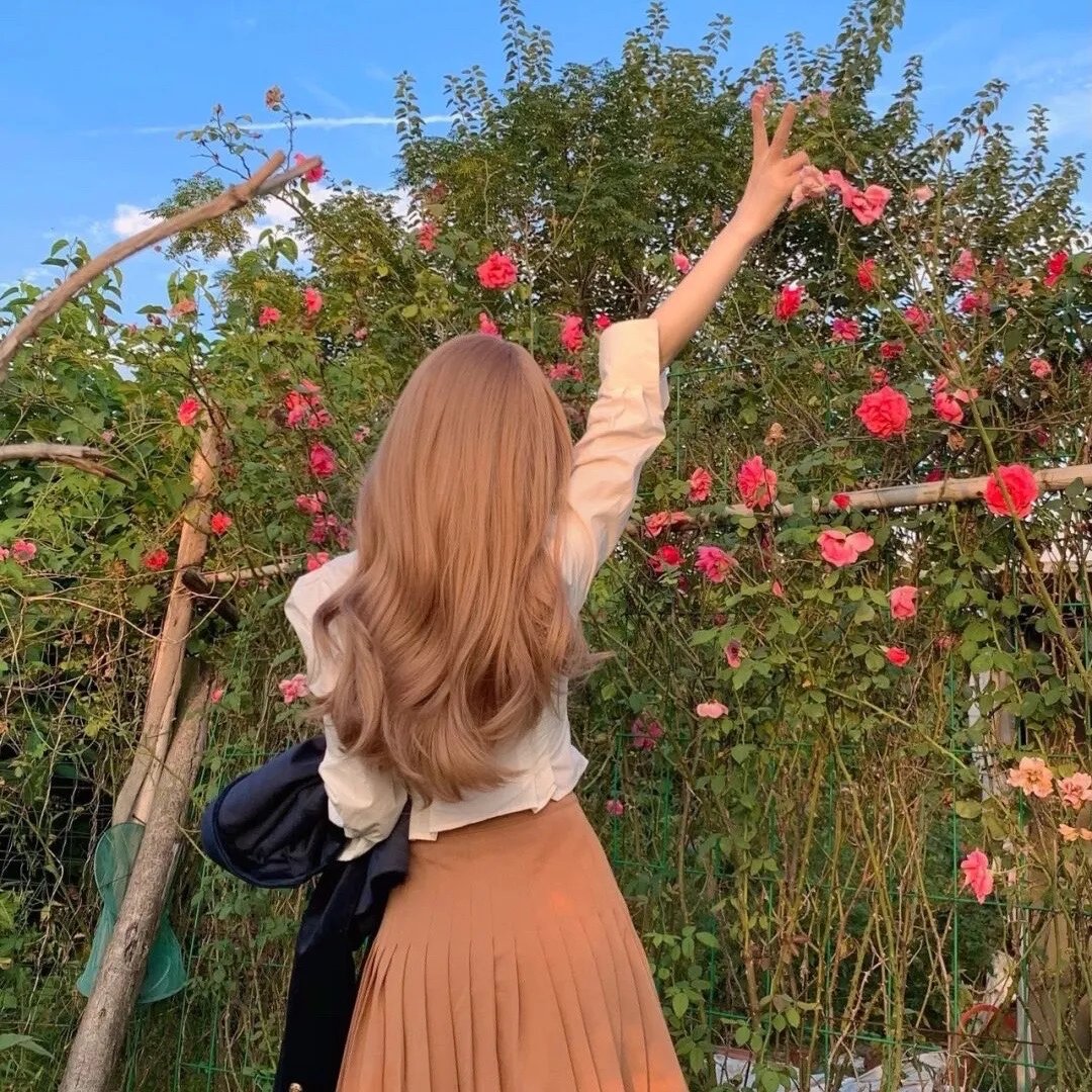 蜜月岛